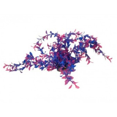 ΔΙΑΚΟΣΜΗΤΙΚΟ ΦΥΤΟ ΕΝΥΔΡΕΙΟΥ 34Χ8CM